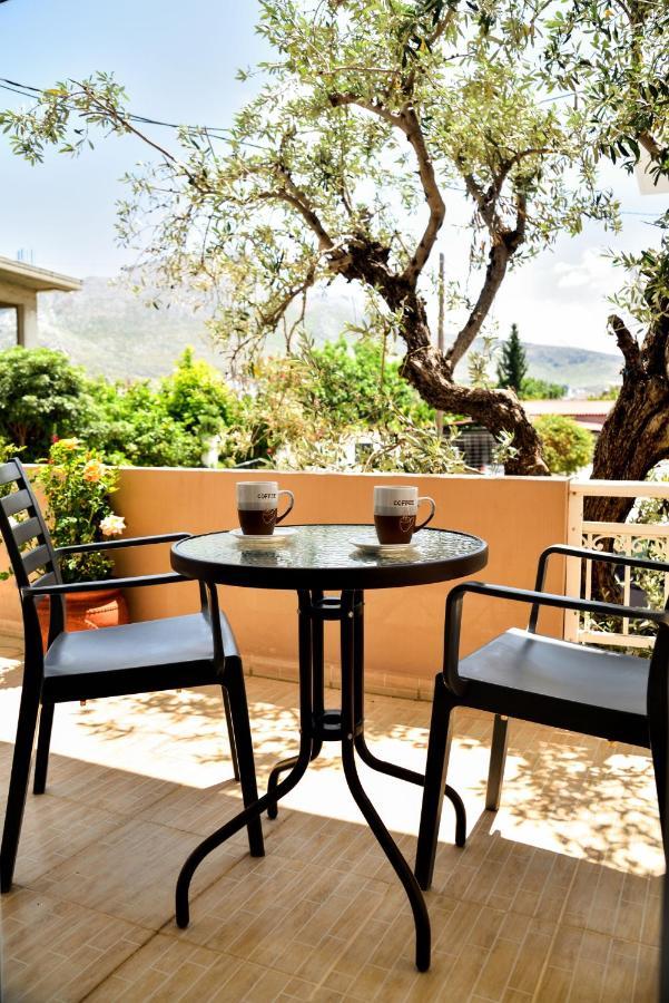 Antonios Apartments Archangelos  Extérieur photo